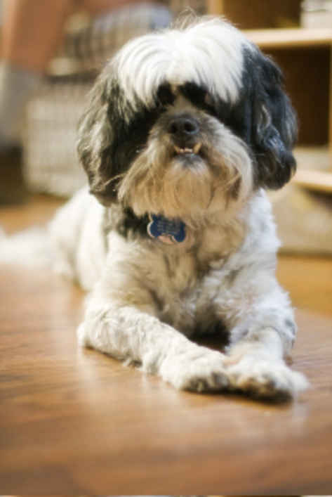 Winston 2