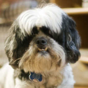 Winston 2