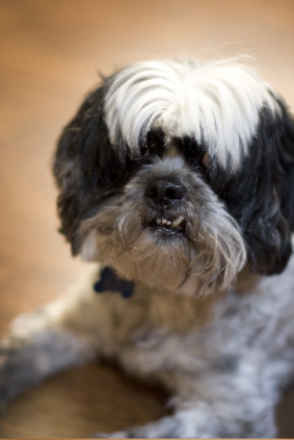 Winston 2