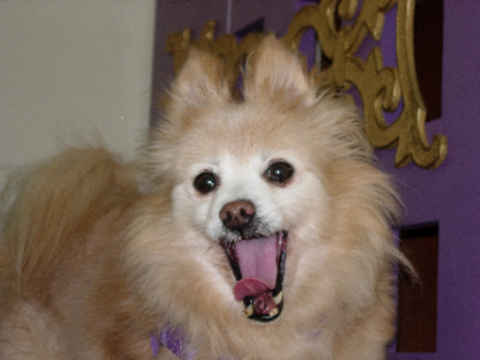 Debbie