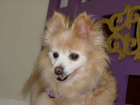 Debbie