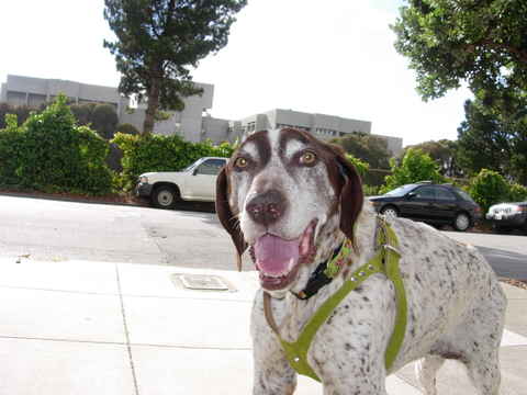 Maggie 6