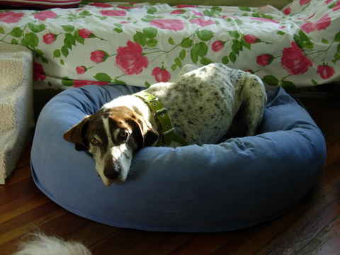 Maggie 6