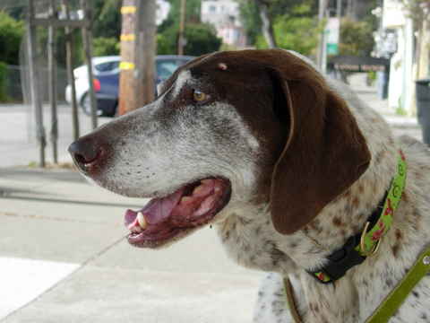 Maggie 6