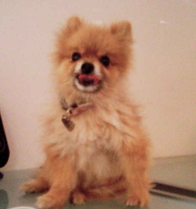 Osita