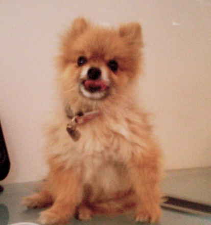 Osita