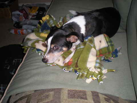 Rocky 3