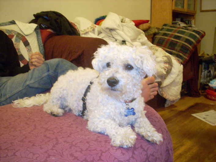 Sparky 2