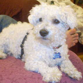 Sparky 2