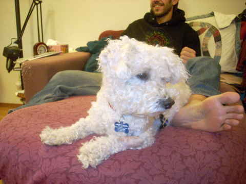 Sparky 2