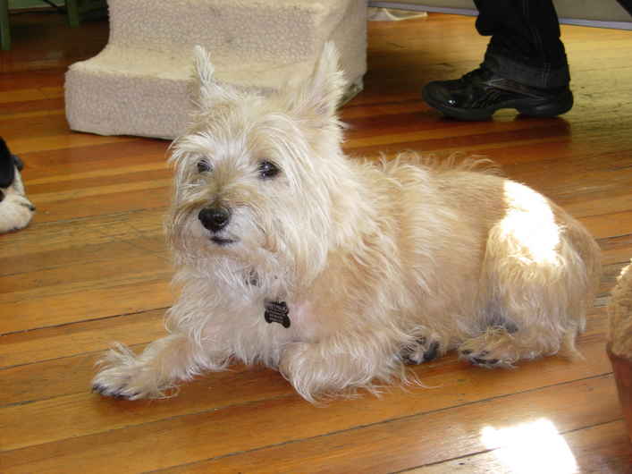 Wyatt 3
