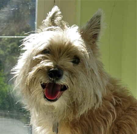 Wyatt 3