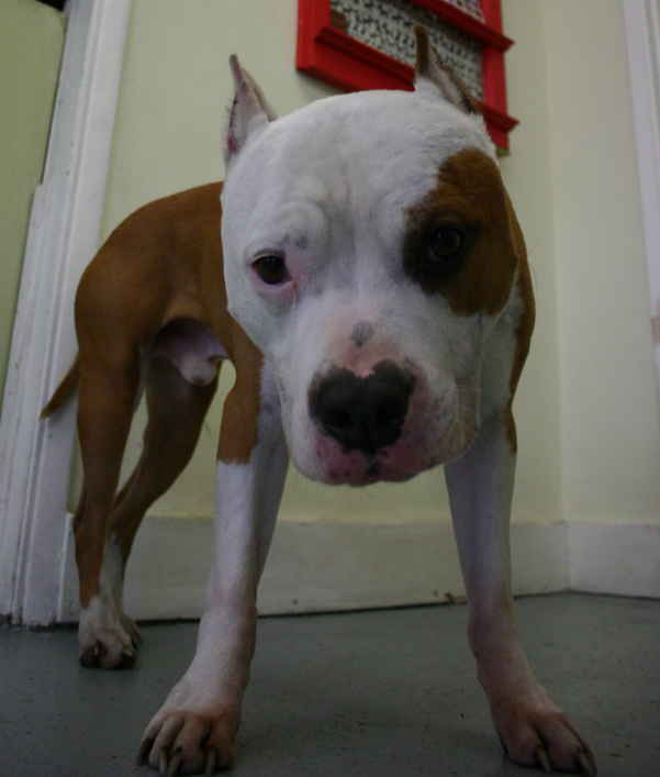 Floyd 2