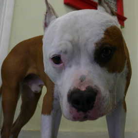 Floyd 2