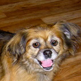 Brinnie