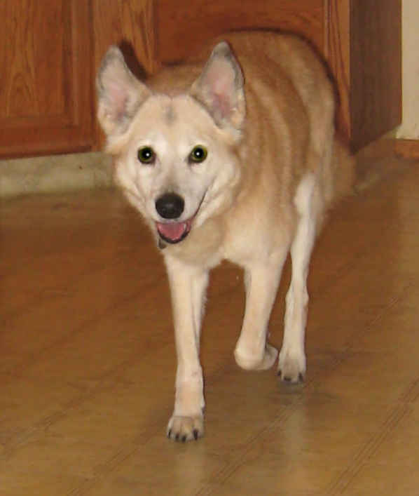 Sandy 3