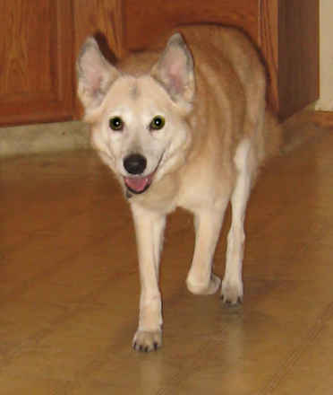 Sandy 3