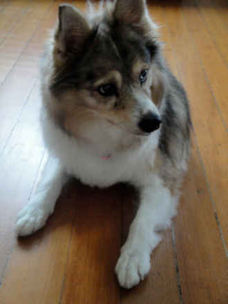 Roxy 2