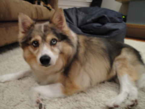 Roxy 2