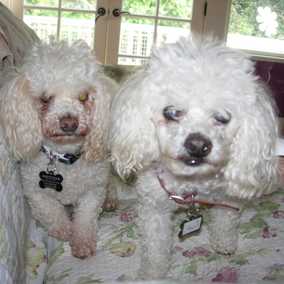 Suzi & Peanut