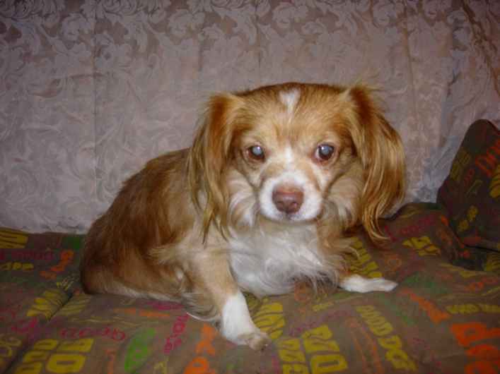 Radar
