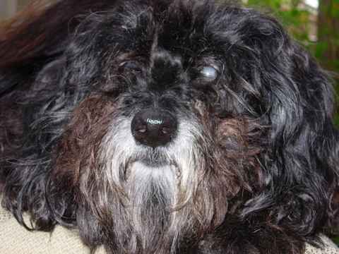 Darby 2