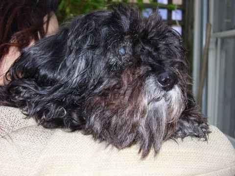 Darby 2