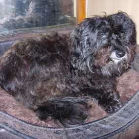 Darby 2
