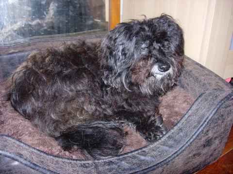 Darby 2