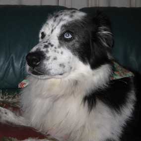 Ben 2