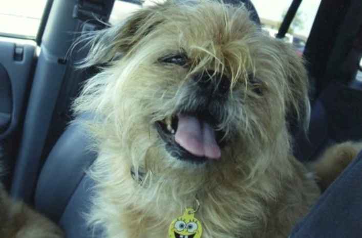 Lola 2