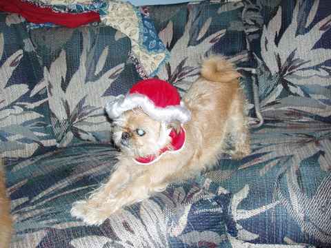 Lola 2