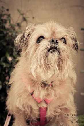 Lola 2