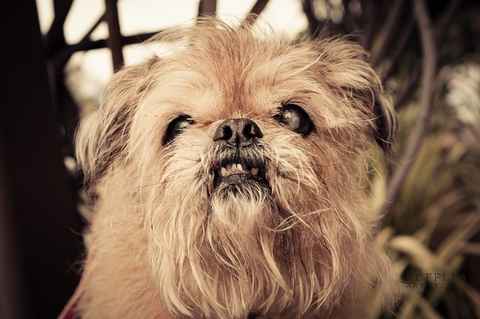 Lola 2