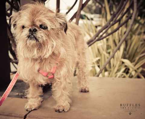 Lola 2