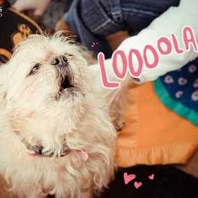 Lola 2