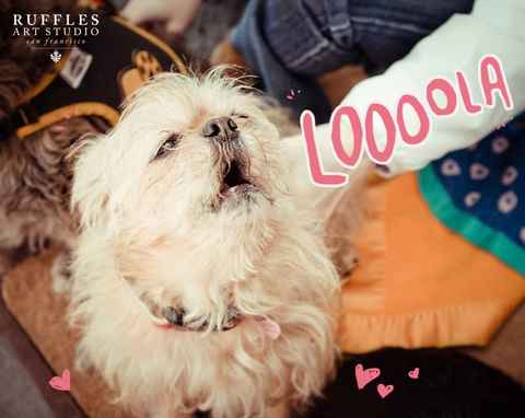 Lola 2