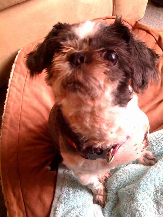 Sammy 3