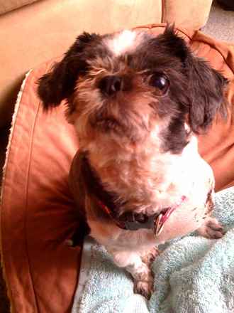 Sammy 3