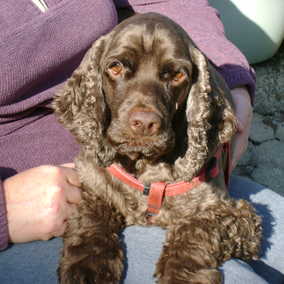 Kody 2