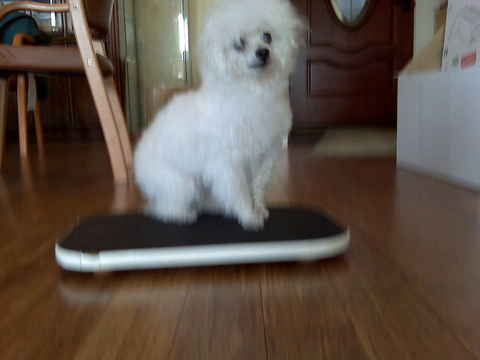 Bambam