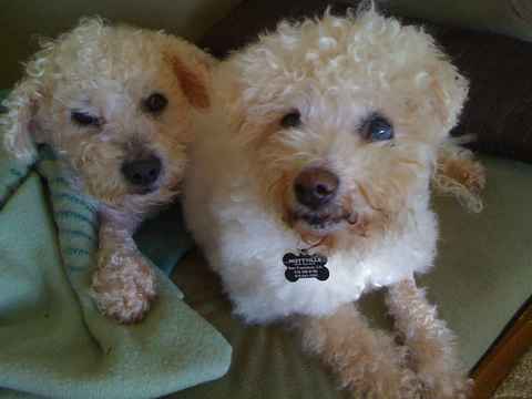 Kelly & Al
