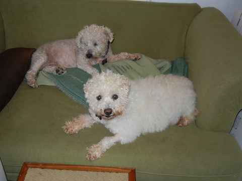 Kelly & Al