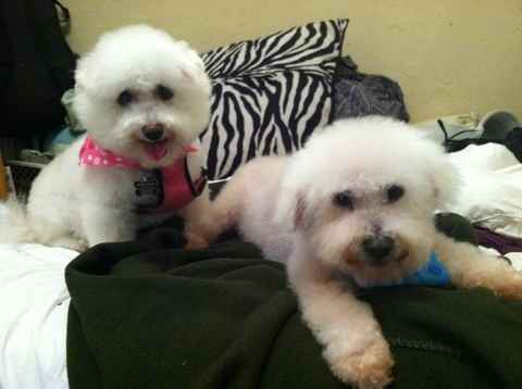 Kelly & Al