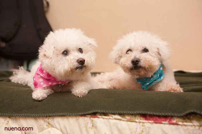 Kelly & Al