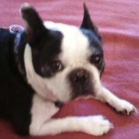 Casey