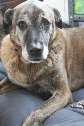 Annie 6