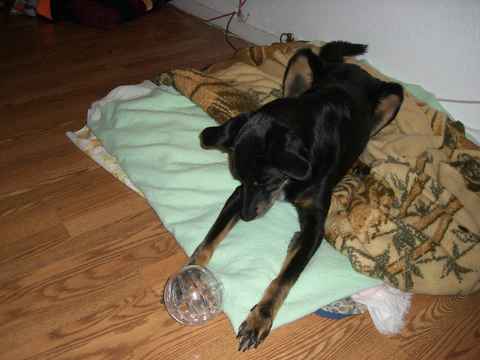 Bandit 2
