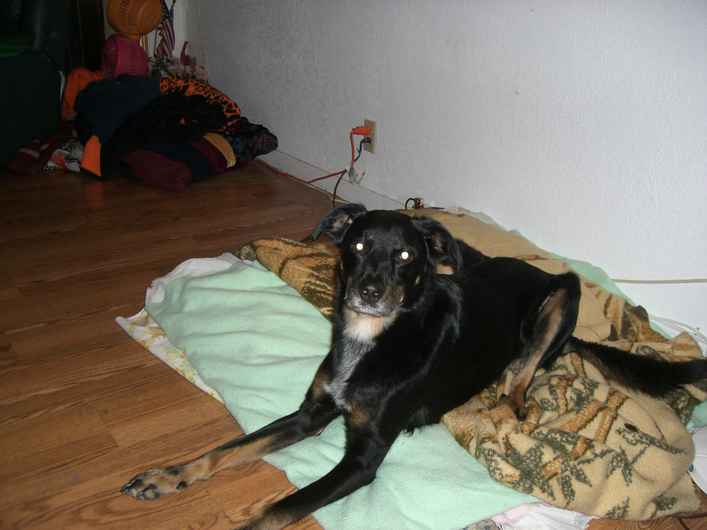 Bandit 2