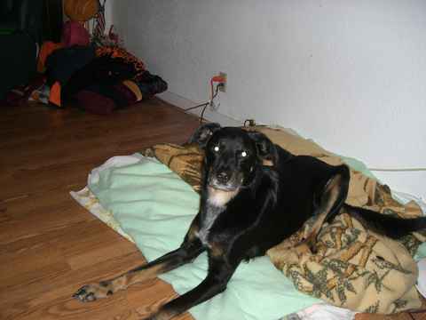 Bandit 2